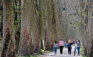 Ilidža: Biciklista iz Kuvajta povrijedio šestogodišnju djevojčicu iz Jemena